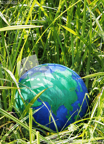 Image of Globe in the grass