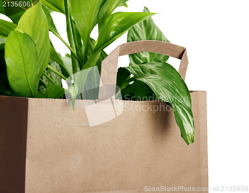 Image of Eco bag 