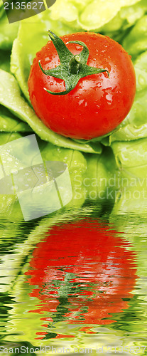 Image of Tomatoe and lettuce