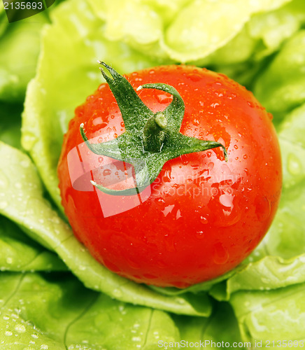 Image of Tomatoe and lettuce