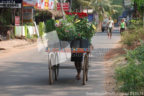 Image of Street plant seller