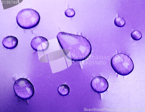 Image of Water drops 