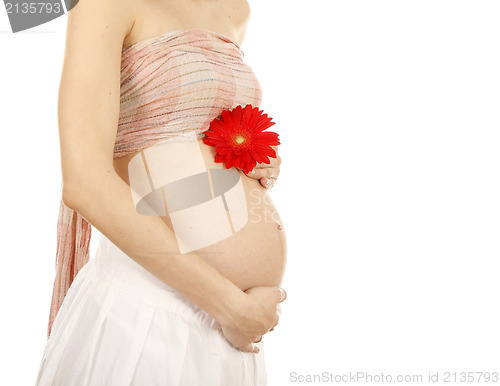 Image of Pregnant woman 