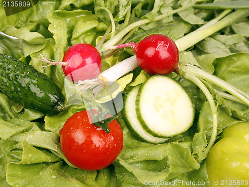 Image of Salad ingredients