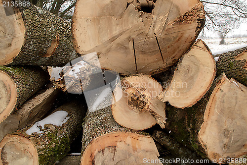 Image of Logs