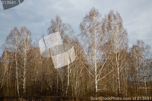 Image of Rural landscape.