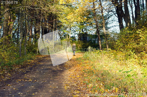 Image of blond woman walk autumn park forest road hill 