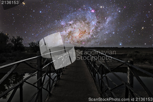 Image of Bridge to the stars