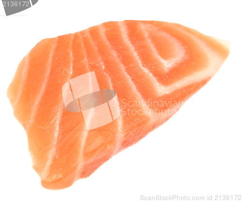 Image of red fish