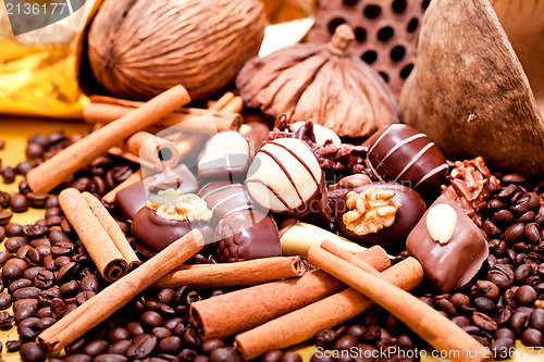 Image of collection of different chocolate pralines truffels 