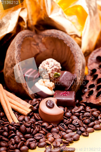 Image of collection of different chocolate pralines truffels 