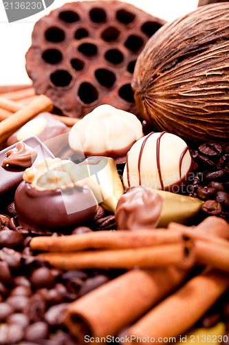 Image of collection of different chocolate pralines truffels 