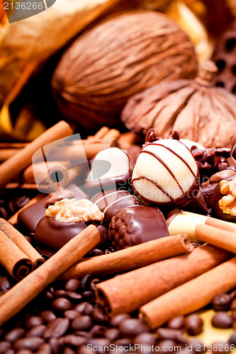 Image of collection of different chocolate pralines truffels 