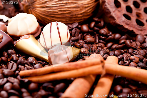 Image of collection of different chocolate pralines truffels 