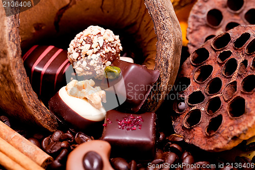 Image of collection of different chocolate pralines truffels 