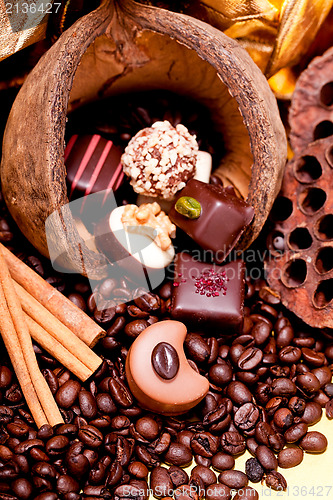 Image of collection of different chocolate pralines truffels 