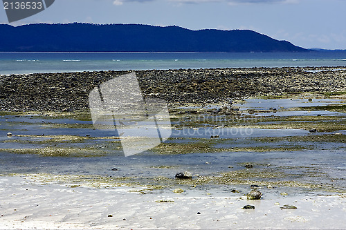 Image of little bird beach sky in  madagascar