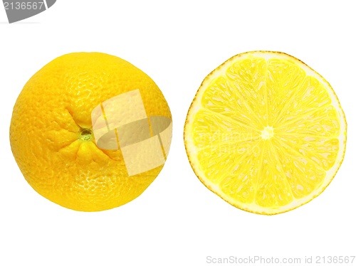 Image of Lemon fruit