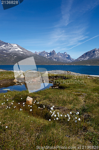 Image of View from Tasiusaq