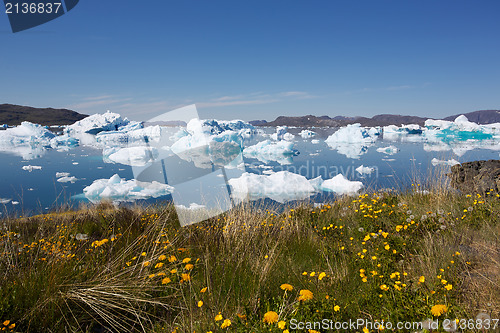 Image of Narsaq