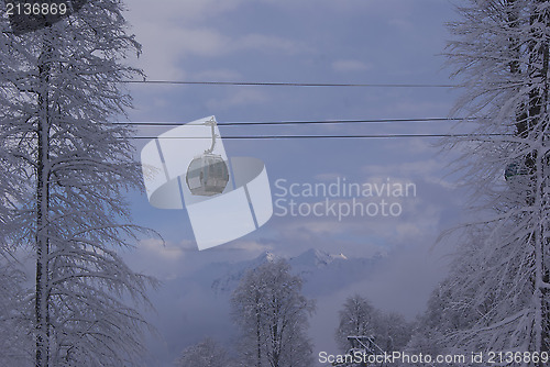 Image of A ropeway over the trees