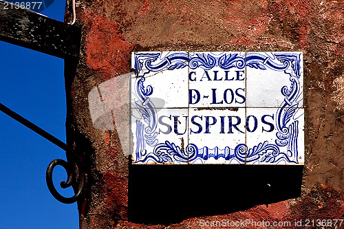 Image of plant and a wall in calle de los suspiros