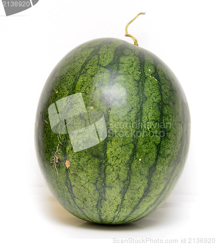 Image of watermelon