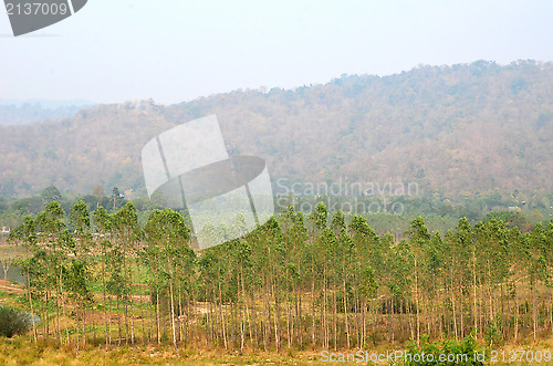 Image of landscape