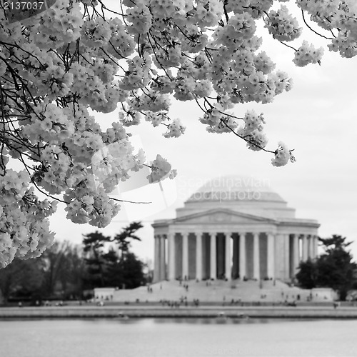Image of Historic Jefferson Memorial