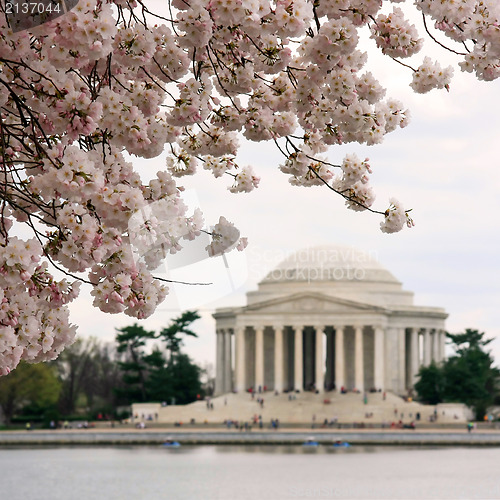 Image of Jefferson Memorial
