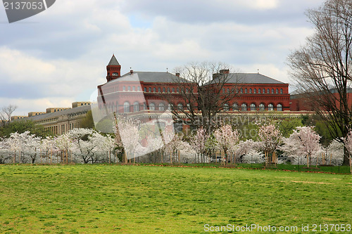 Image of Smithsonian Institute