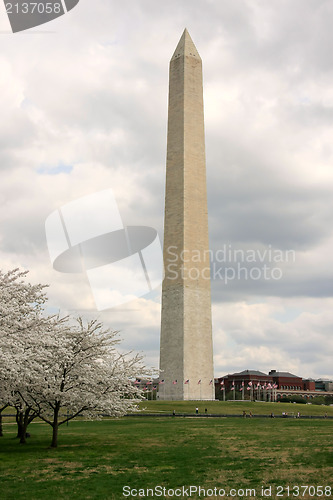 Image of Washington Memorial