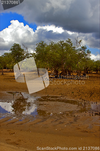 Image of  cloudy  sand isle beach