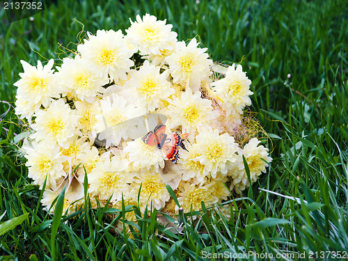 Image of bouquet from yellow asters with butterfly on green grass