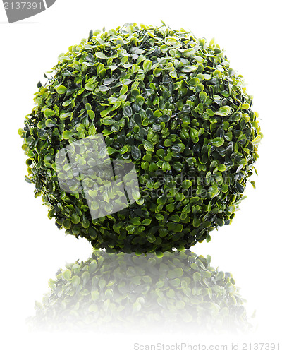 Image of Green sphere from artificial grass with reflection isolated on w