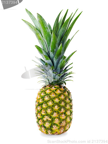 Image of ripe whole pineapple isolated on white background