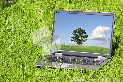 Image of Landscape  on laptop screen