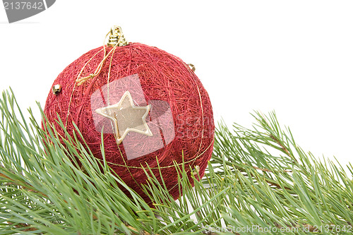 Image of red christmas bauble and pine branch