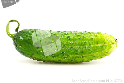 Image of cucumber over white