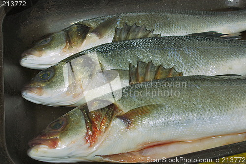 Image of prepared sea bass