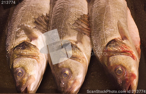 Image of prepared sea bass