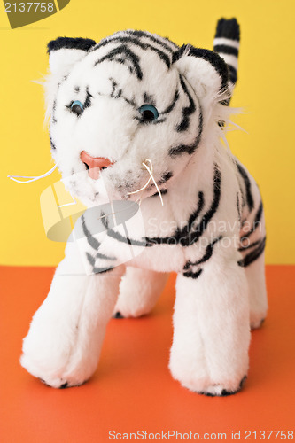 Image of white tiger