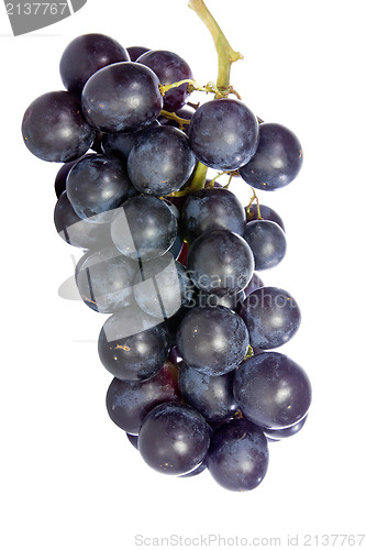 Image of bunch of blue grape isolated on white