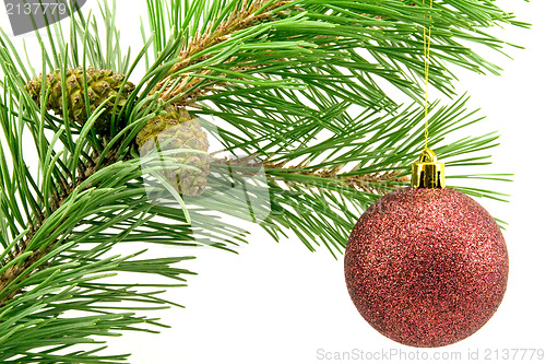 Image of branch with red bauble over white