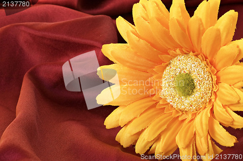 Image of flower on red material background