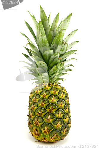 Image of ripe pineapple fruit