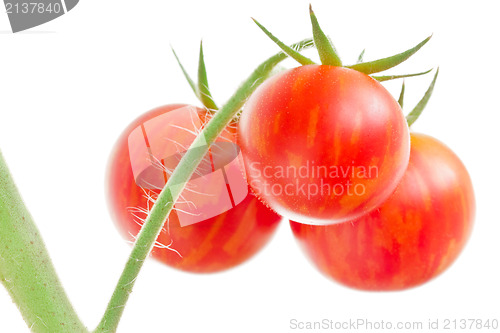 Image of Bunch of tomatoes on white background