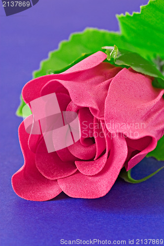 Image of pink  rose 