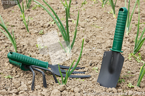 Image of tools in a garden