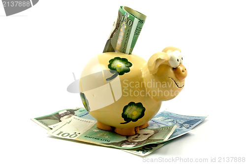 Image of piggy bank and banknotes